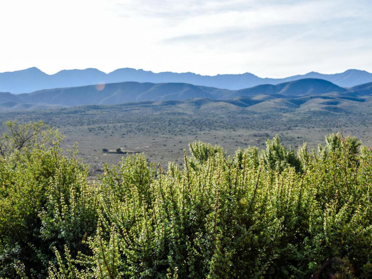 Villa Bella de Karoo Calitzdorp Esterno foto